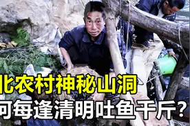 湖北山洞“吐鱼”千斤，专家却告知不能吃，究竟怎么回事？视频封面
