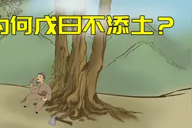 “清明逢戊子，上坟不填土”，戊子是什么时候？为何不填土视频封面