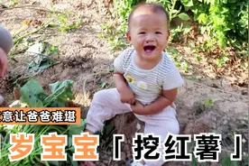 1岁宝宝和爸爸挖红薯，只喊叔叔不喊爸爸，让爸爸很难堪视频封面