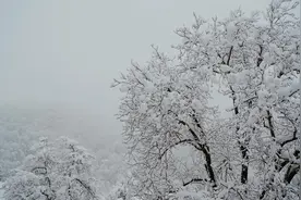 纯洁宁静视觉欣赏，轻松愉快听觉享受，学习休息冥想的背景音乐。