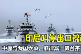 印尼叫停出口镍矿，中断与我国600亿大单，菲律宾：机会来了！视频封面