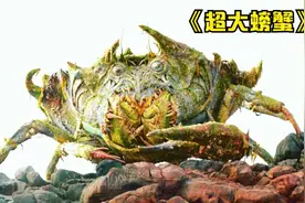 24岁小伙踏上寻爱之旅视频封面