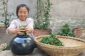 农村媳妇摘一筐小辣椒腌制泡椒，只加水和盐，方法简单味道好