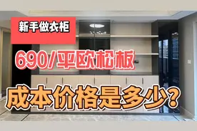 衣柜690/平投影面积贵吗？欧松板做柜门柜体，成本价格是多少视频封面