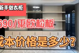 衣柜690/平投影面积贵吗？欧松板做柜门柜体，成本价格是多少视频封面
