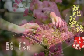 古筝无伴奏演绎经典疗愈纯音《琵琶语》，静心感受音乐之美视频封面