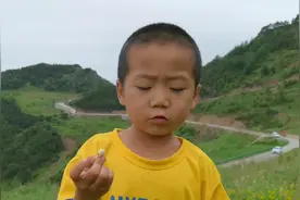 甘肃陇南的六月漫山的瓢子熟了，这种小野果你吃过吗？视频封面