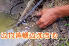 钓黄鳝特殊技法又来了！学会这招，过斤的黄鳝随便钓！视频封面
