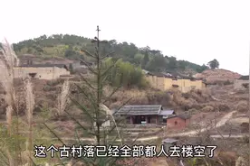 福建宁德森林中发现废弃的古村落，一个人都没有，进去看看视频封面