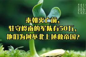 秦朝灭亡前，驻守岭南的军队有50万，他们为何不北上拯救帝国？视频封面