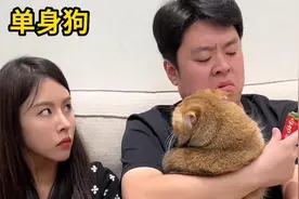 短剧：抠脚美女又遭催婚，竟坦白早已生子？这下老爸不淡定了视频封面