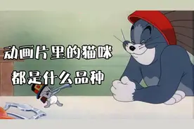 你知道动画片里的猫咪都是什么品种吗？