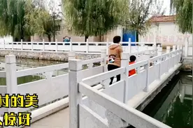 没事多出家门转转，哪怕就是走出二里地，也有可能看到意外惊喜视频封面