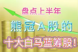 盘点上半年熊冠A股的十大白马蓝筹股！视频封面