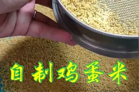 自制鸡蛋米 养牡丹鹦鹉绕不开的话题 鹤鸣儿在分享中学习