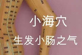 小海穴主治：颈颔、肩臑、肘臂外后廉痛，寒热齿龈肿，疡肿振寒视频封面