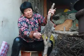 妈妈为了省钱，砍木头烧锅蒸馒头，却一不小心把手弄伤了