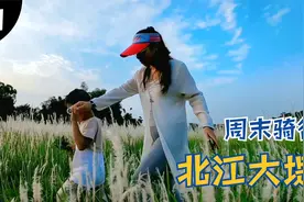 周末骑行佛山北江大堤三水西南至河口段视频封面