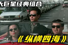 三大巨星经典组合，盗取世界名画！8.8高分经典港片《纵横四海》视频封面
