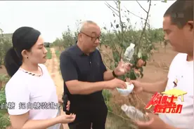 【农博士】杀虫糖醋液的制作方法视频封面