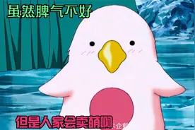 这粉嫩的壁企鹅虽然脾气不好，但是会卖萌。我看了看我家的二哈🐶视频封面