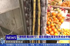 “清明蔗 毒过蛇”？  医生提醒吃霉变甘蔗或会中毒视频封面