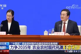 农业农村部：力争到2035年，农业农村现代化基本实现|24小时