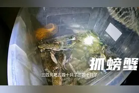 环球旅行1037天：四个中国小伙在沙特吉达的海边晚上打灯抓螃蟹！视频封面
