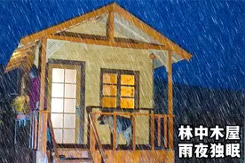 深夜雨声阵阵，一个人在林中小木屋，听着雨声睡大觉视频封面