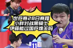 世乒赛28日赛程！小胖对战黑骑士，伊藤能过国乒难关吗视频封面