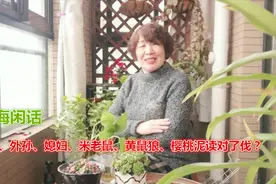 上海闲话：女婿、孙子、媳妇、老鼠、黄鼠狼、樱桃你读对了吗？