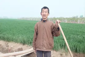 国家建高铁经过河南农田，一亩多地赔偿这么多钱，你们那里赔多少视频封面