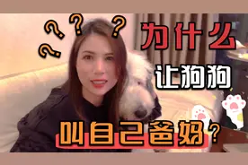 第4集：为什么现在养宠物的人，都喜欢让宠物管自己叫爸爸妈妈