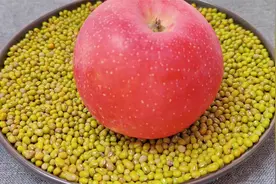 绿豆和苹果是绝配这样吃，减脂瘦身，甩大肚腩，想不到效果这么好视频封面