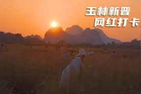 玉林一片野生狗尾巴草成为新晋网红打卡地，真美视频封面