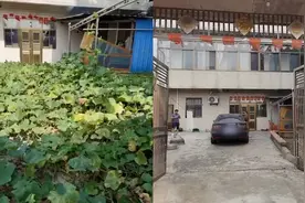 江苏女子半年没回家大门爬满瓜蔓，拍视频称领略一下农村人的风光视频封面