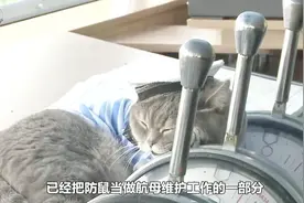 大型军舰或航母，怎样防止鼠患？猫咪已过时，美军展现科技灭鼠视频封面