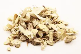 桑枝有哪些功效和作用？能补肾吗？视频封面