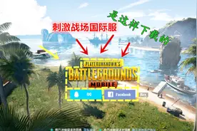 刺激战场：国际服模拟器下载教学视频视频封面