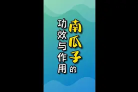 南瓜子的功效与作用@#大人小孩都爱吃 #好东西一起分享给大家视频封面