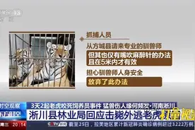 为何选择击毙两只外逃老虎？河南淅川县公布处置细节|东方时空视频封面