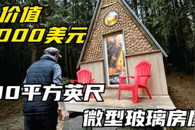 父子俩建造透光玻璃木屋，黑科技层出不穷，贫穷限制了我的想象视频封面