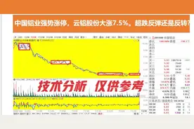 中国铝业强势涨停 云铝股份大涨7% 超跌反弹还是反转？客观分析视频封面