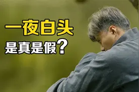 “一夜白头”真的不是夸张？如何科学解释，人哀伤过度会长白发？视频封面