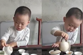 福建萌娃泡茶手法娴熟，有模有样闻盖香，该喝奶的年纪却选择喝茶视频封面