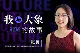 张菁：我与大象的故事视频封面