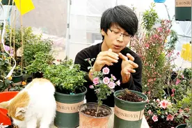 盆栽花卉死掉了，土壤不要丢弃，这样处理还可以继续种花视频封面