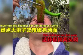 盘点大雷子吃辣椒名场面，这辣椒辣两头啊，不辣！视频封面