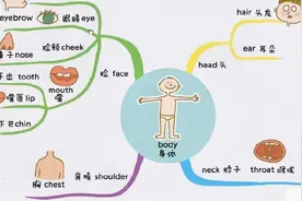 思维导图记小学英语单词body身体