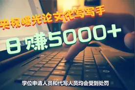 央视曝光论文代写写手：一天写三篇还可跨专业 能赚5000元视频封面